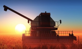 M&A Update – Agribusiness