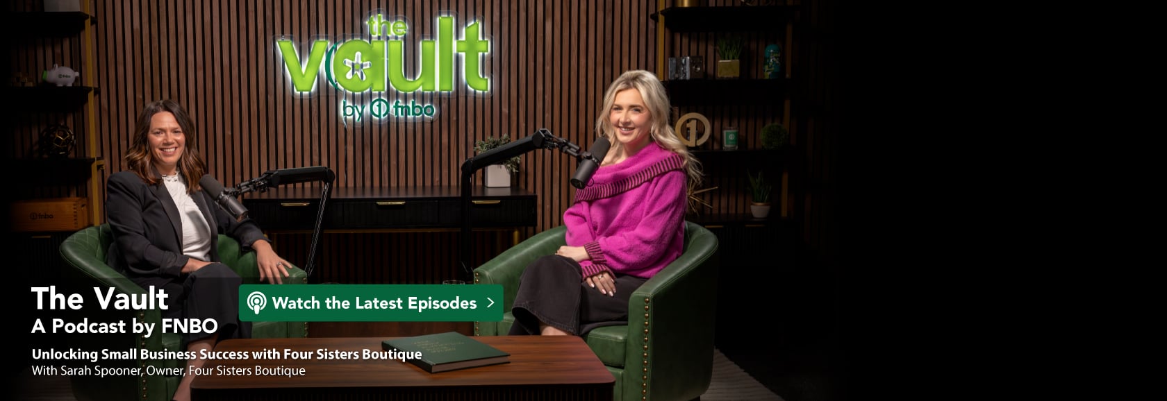 The Vault podcast banner image